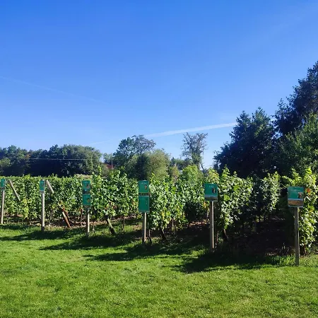 Holiday home Alsace & Meyer-krumb Sigolsheim