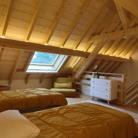 Holiday home Alsace & Meyer-krumb Sigolsheim