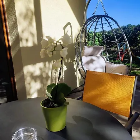 Alsace & Meyer-krumb *